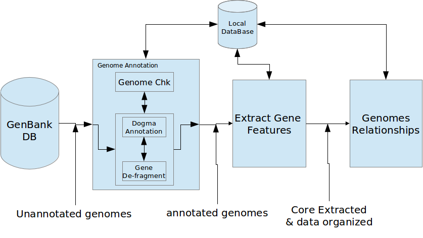 Dogma_GeneName.png