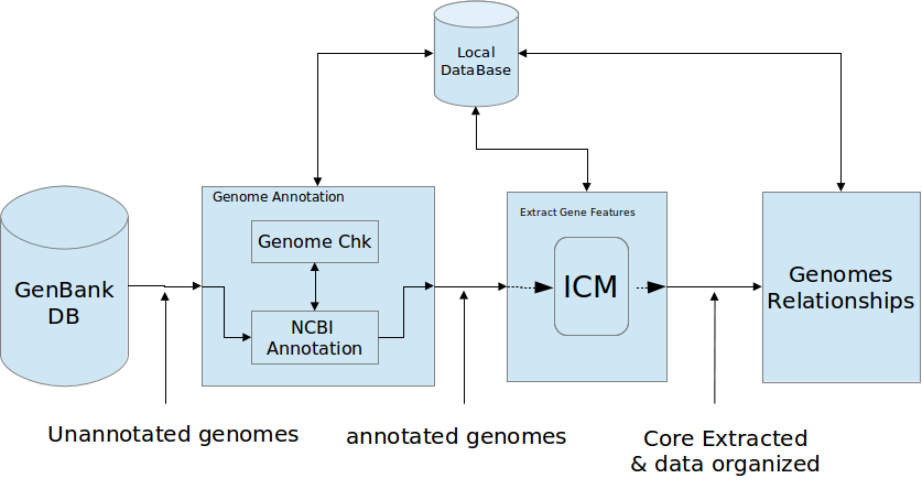 NCBI_geneextraction.png