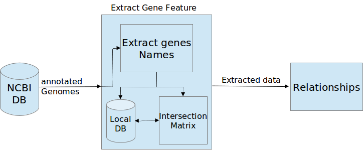 NCBI_GeneName.png