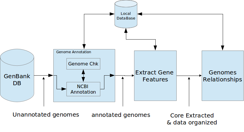 NCBI_GeneName.png