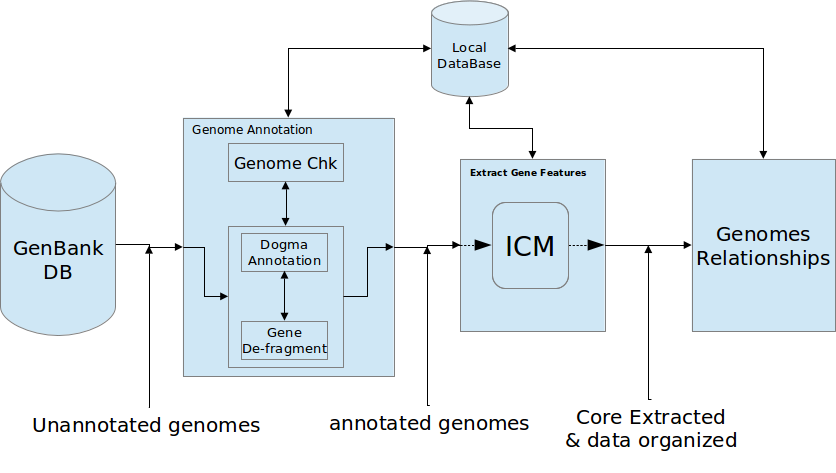 Dogma_geneextraction.png